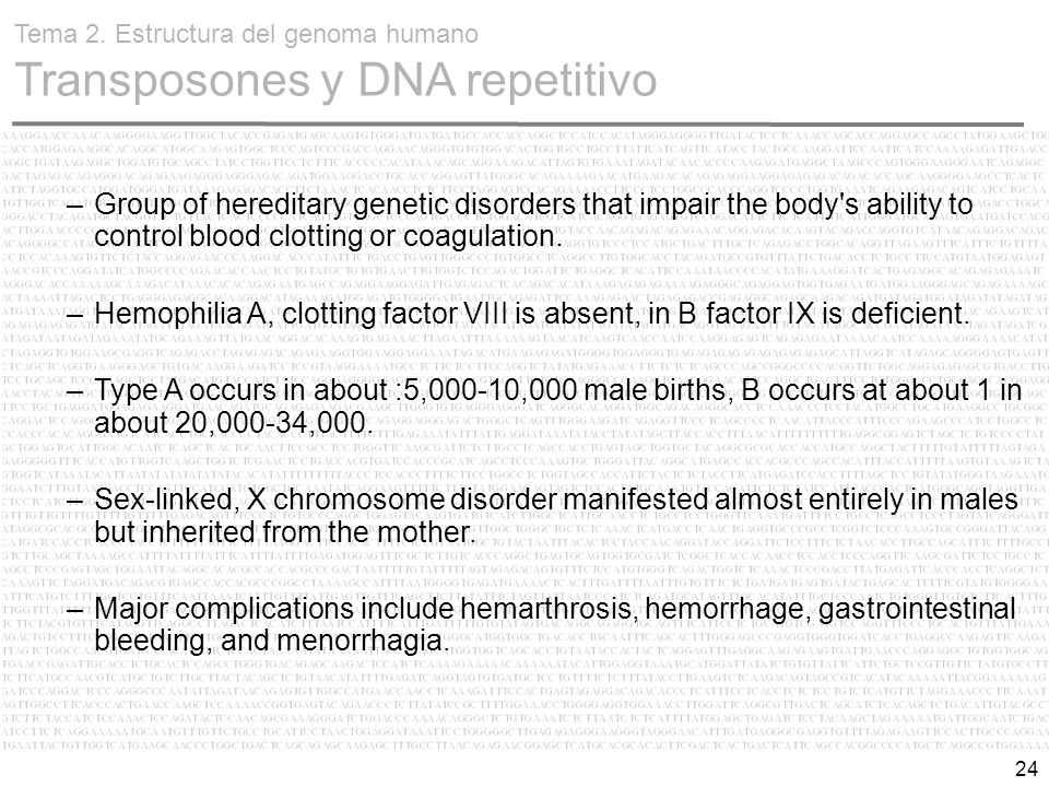 Estructura Del Genoma Humano Ppt Descargar