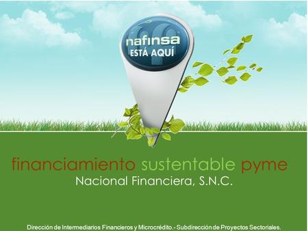 Financiamiento sustentable pyme Nacional Financiera, S.N.C. Dirección de Intermediarios Financieros y Microcrédito.- Subdirección de Proyectos Sectoriales.