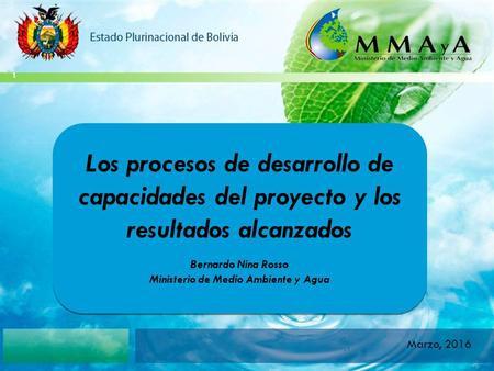 Estado Plurinacional de Bolivia Los procesos de desarrollo de capacidades del proyecto y los resultados alcanzados Bernardo Nina Rosso Ministerio de Medio.