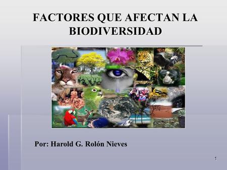 1 FACTORES QUE AFECTAN LA BIODIVERSIDAD Por: Harold G. Rolón Nieves.