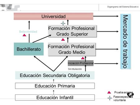 Organigrama del Sistema Educativo Educación Infantil Educación Primaria Educación Secundaria Obligatoria Universidad Bachillerato Formación Profesional.