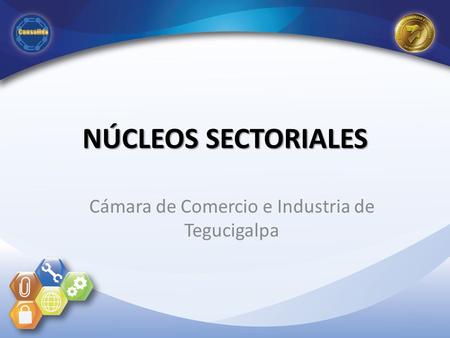NÚCLEOS SECTORIALES Cámara de Comercio e Industria de Tegucigalpa.