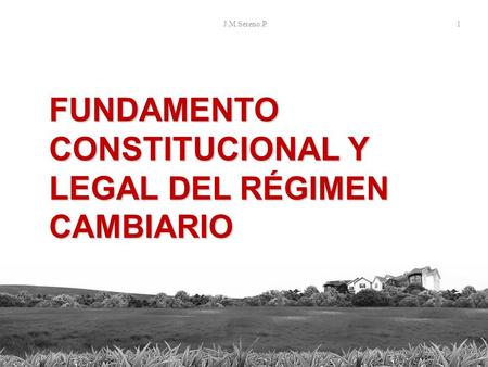 J.M.Sereno.P. 1 FUNDAMENTO CONSTITUCIONAL Y LEGAL DEL RÉGIMEN CAMBIARIO.