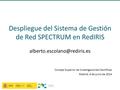 Despliegue del Sistema de Gestión de Red SPECTRUM en RedIRIS Consejo Superior de Investigaciones Científicas Madrid, 4 de junio.