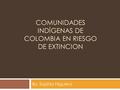 COMUNIDADES INDÍGENAS DE COLOMBIA EN RIESGO DE EXTINCION By: Sophia Higuera.