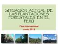 SITUACIÓN ACTUAL DE LAS PLANTACIONES FORESTALES EN EL PERÚ Foro Internacional Junio, 2013.