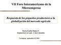 Respuesta de los pequeños productores a la globalización del mercado agrícola VII Foro Interamericano de la Microempresa Cartagena, septiembre de 2004.