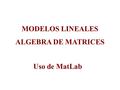 MODELOS LINEALES ALGEBRA DE MATRICES Uso de MatLab.