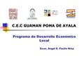 Programa de Desarrollo Económico Local Econ. Angel E. Paullo Nina C.E.C GUAMAN POMA DE AYALA.