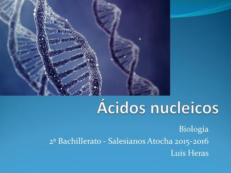 Biología 2º Bachillerato - Salesianos Atocha 2015-2016 Luis Heras.