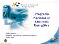Programa Nacional de Eficiencia Energética Pedro Alarcón Director Nacional de Eficiencia Energética Mayo 2009.