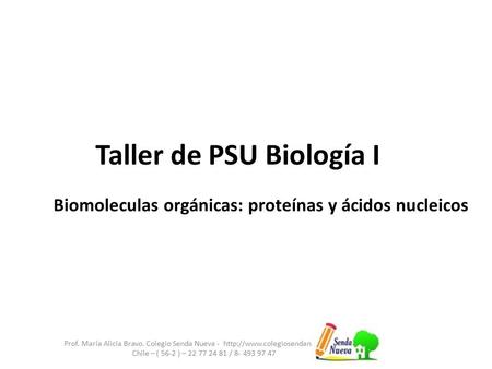 Taller de PSU Biología I Prof. María Alicia Bravo. Colegio Senda Nueva -  Chile – ( 56-2 ) – 22 77 24 81 / 8- 493 97 47.