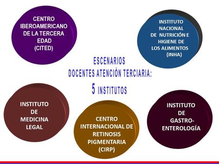 CENTRO INTERNACIONAL DE RETINOSIS PIGMENTARIA (CIRP) INSTITUTO DE GASTRO- ENTEROLOGÍA CENTRO IBEROAMERICANO DE LA TERCERA EDAD (CITED) INSTITUTO NACIONAL.