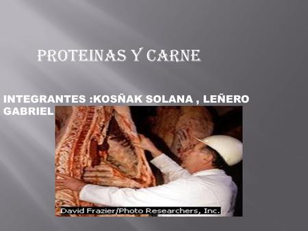PROTEINAS Y CARNE INTEGRANTES :KOSÑAK SOLANA, LEÑERO GABRIEL.