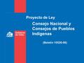 Proyecto de Ley Consejo Nacional y Consejos de Pueblos Indígenas (Boletín 10526-06)