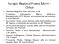 Aprajud Regional Puerto Montt - Chiloé Directiva elegida a fines de Junio 2014. Presidente Subrogante: Marco Medrano, Administrador JLT P. Montt, en comisión.