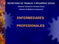 ENFERMEDADES PROFESIONALES SECRETARIA DE TRABAJO Y SEGURIDAD SOCIAL Dirección General de Previsión Social Servicio de Medicina Ocupacional.