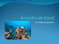 Arrecifes de Coral Un bello ecosistema.