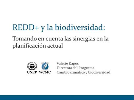 REDD+ y la biodiversidad: Tomando en cuenta las sinergias en la planificación actual Valerie Kapos Directora del Programa Cambio climático y biodiversidad.