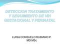 LUISA CONSUELO RUBIANO P. MD.MSc. Carga viral VIH (nivel de VIH-RNA )sanguineo y vaginal Conteo de células CD4 Estado Clínico de la gestante VIH Consumo.