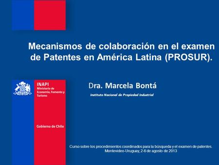 Mecanismos de colaboración en el examen de Patentes en América Latina (PROSUR). Curso sobre los procedimientos coordinados para la búsqueda y el examen.