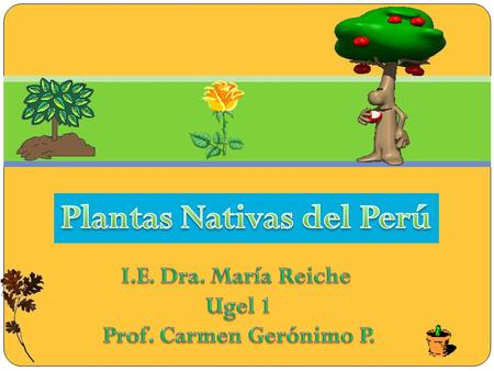 Plantas Nativas del Perú
