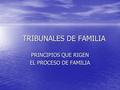 TRIBUNALES DE FAMILIA PRINCIPIOS QUE RIGEN EL PROCESO DE FAMILIA.