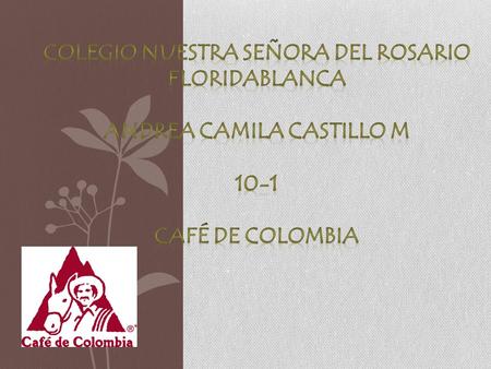 En Colombia, los cultivos del café se encuentran, en su gran mayoría, sobre las laderas de las tres cordilleras de los Andes (Oriental, Central y Occidental)