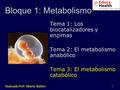 1 Bloque 1: Metabolismo Tema 1: Los biocatalizadores y enzimas Tema 2: El metabolismo anabólico Tema 3: El metabolismo catabólico Realizado Prof: Alberto.