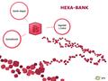 HEXA-BANK. Las estadísticas mundiales demuestran que el 90% de los accidentes en los bancos de sangre tienen una causa administrativa. Máxima seguridad.