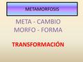 META - CAMBIO MORFO - FORMA TRANSFORMACIÓN