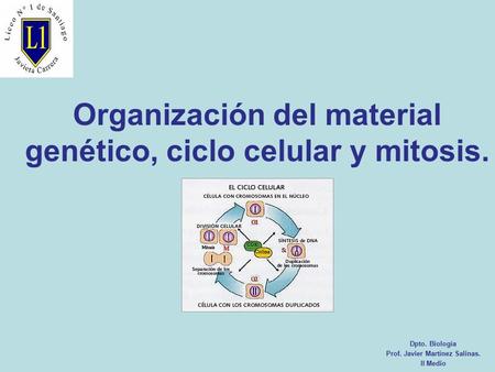 Organización del material genético, ciclo celular y mitosis. Dpto. Biología Prof. Javier Martínez Salinas. II Medio.