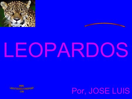 LEOPARDOS Por, JOSE LUIS El leopardo (Panthera pardus) es una especie de mamífero carnívoro de la familia de los félidos. Como los otros tres grandes.