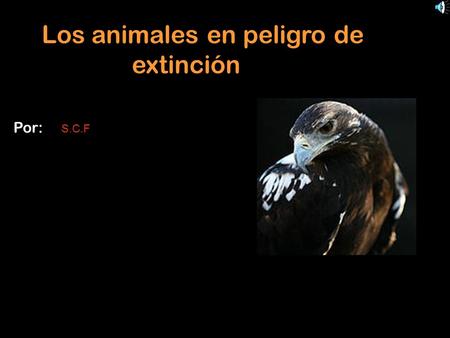 Los animales en peligro de extinción Por: S.C.F. Índice E  El peligro de extinción  Especies que sufren el peligro de extinción  Animales en peligro.
