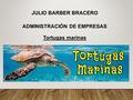 JULIO BARBER BRACERO ADMINISTRACIÓN DE EMPRESAS Tortugas marinas.