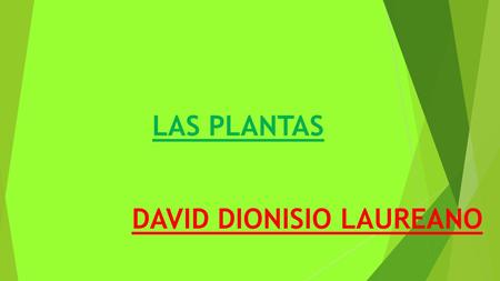 DAVID DIONISIO LAUREANO