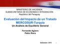 1 Evaluación del Impacto de un Tratado MERCOSUR-Turquía Un Análisis de Equilibrio General Fernando Agüero Pablo Riera Setiembre- 2010 MINISTERIO DE HACIENDA.