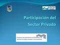 1 Participación del Sector Privado Participación del Sector Privado.