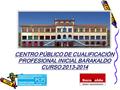 CENTRO PÚBLICO DE CUALIFICACIÓN PROFESIONAL INICIAL BARAKALDO CURSO 2013-2014.