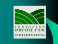 El Sector Agropecuario y Agroindustrial en Argentina Lic. Gustavo López - Ing.Agr. Gustavo Oliverio Potencial de la Producción y Limitantes de Granos.