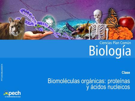 PPTCANCBBLA04004V4 Clase Biomoléculas orgánicas: proteínas y ácidos nucleicos.