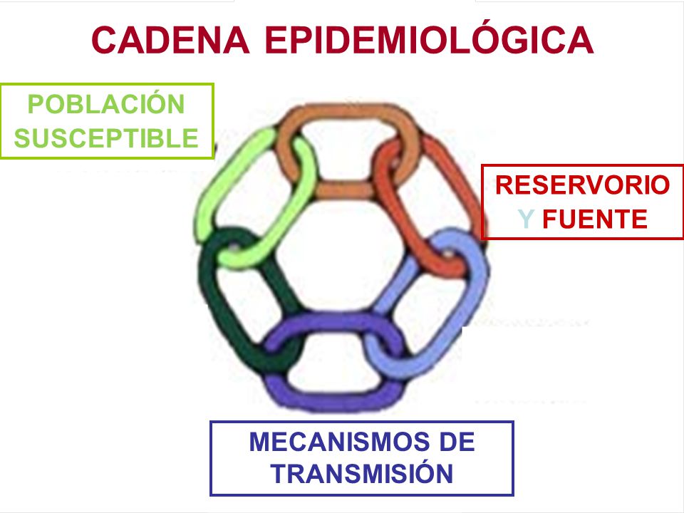 cadena epidemiologica reservorio epidemiolog 237 a de las infecciones v 237 ricas ppt descargar cadena epidemiologica reservorio epidemiolog 237 a de las infecciones v 237 ricas ppt descargar