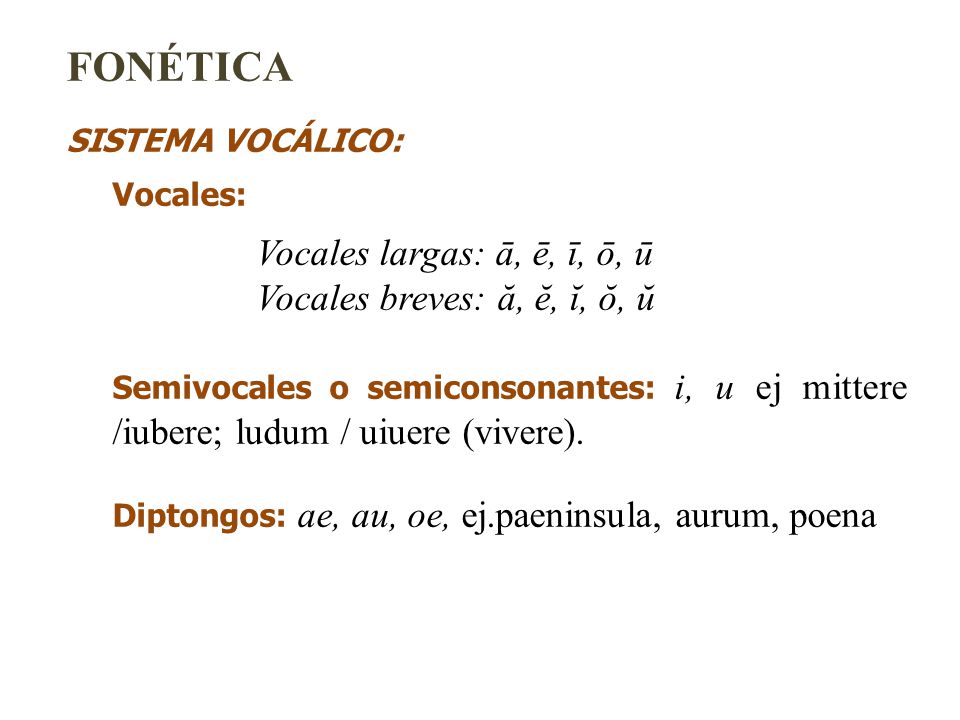 Vocales Largas En Latin 12