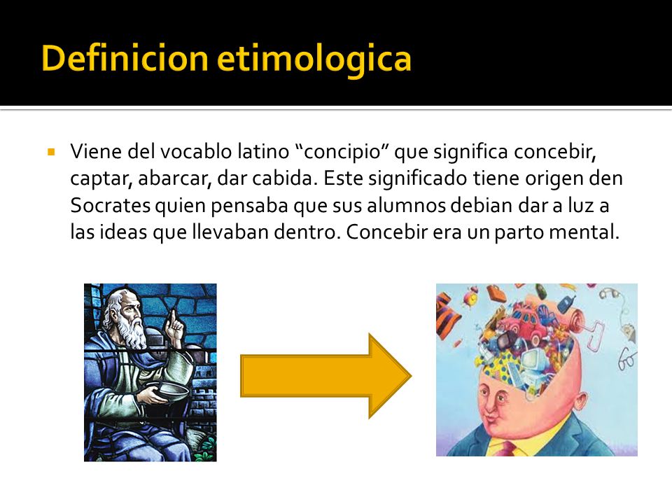 Concepto ppt descargar Armario Dobravel Quechua ~ Concepto ppt descargar