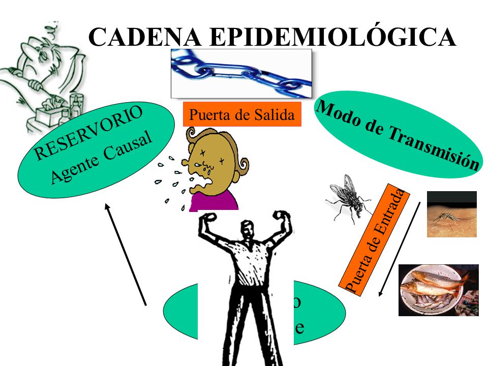 cadena epidemiologica reservorio relacion microbio hospedador ppt descargar cadena epidemiologica reservorio relacion microbio hospedador ppt descargar