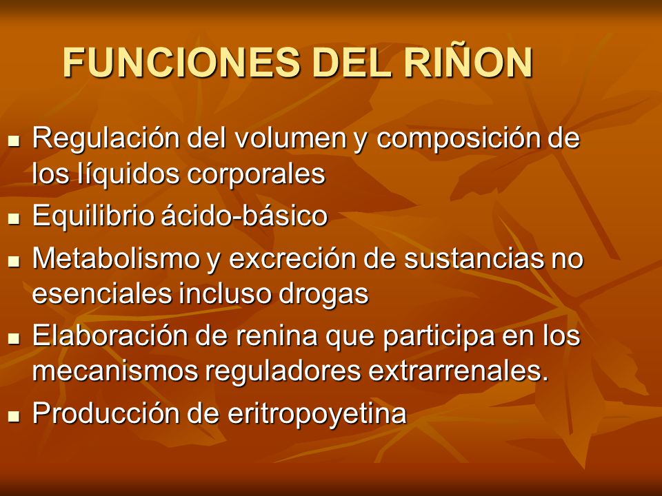 FISIOLOGIA RENAL ppt video online descargar FISIOLOGIA RENAL ppt video online descargar