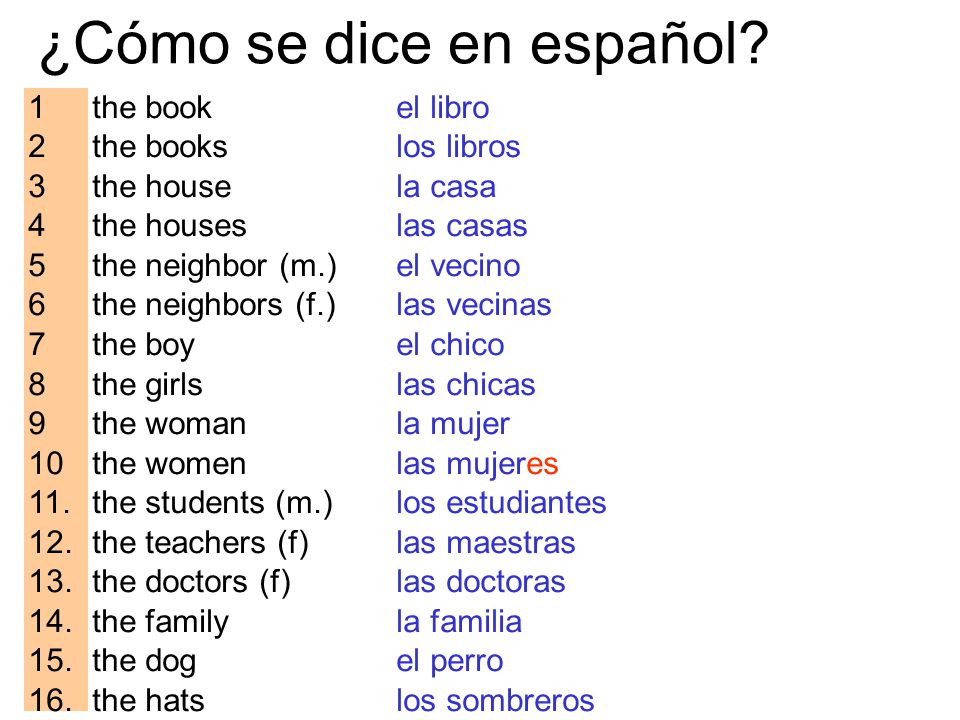 Como se dice essay en espanol