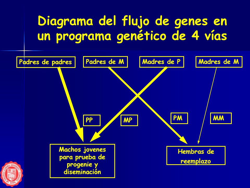 Genes programa