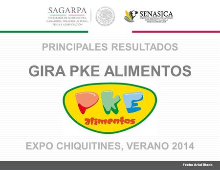 Fecha Arial Black PRINCIPALES RESULTADOS GIRA PKE ALIMENTOS EXPO CHIQUITINES, VERANO 2014.
