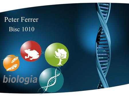 Peter Ferrer Bisc 1010. Introdución En esta presentación se brindara una breve explicación de algunos conceptos básicos de la biología. Incluiremos información.